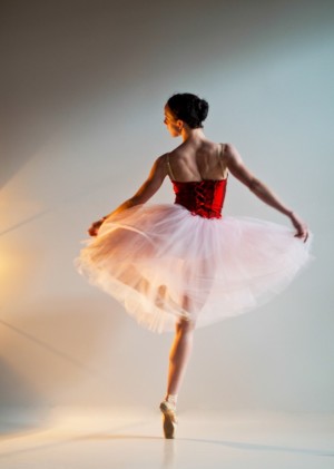 Sansha Teresia Romantic Tutu DF0803 